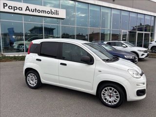 FIAT Panda 1.2 Easy Van 4 posti
